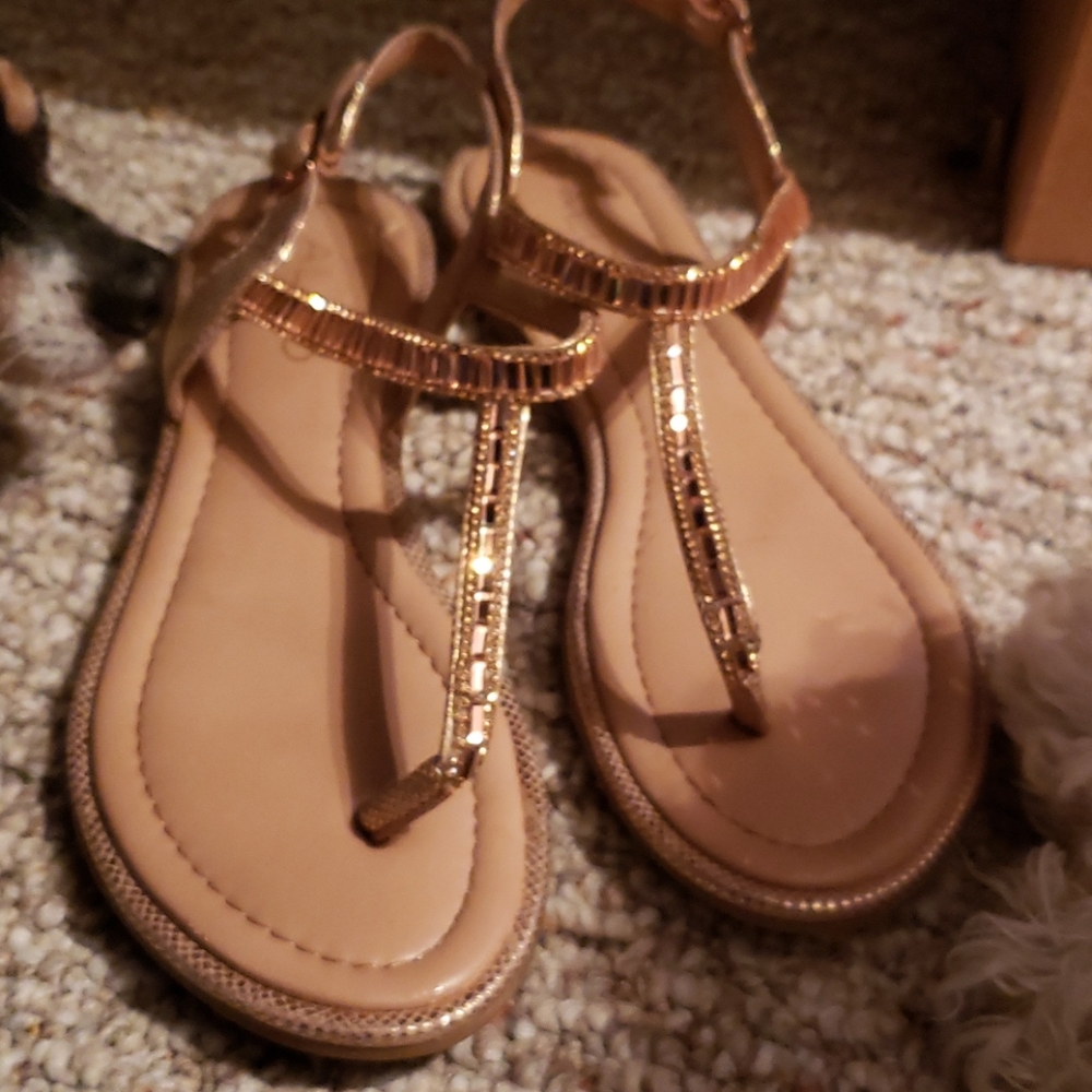Rose gold brand new